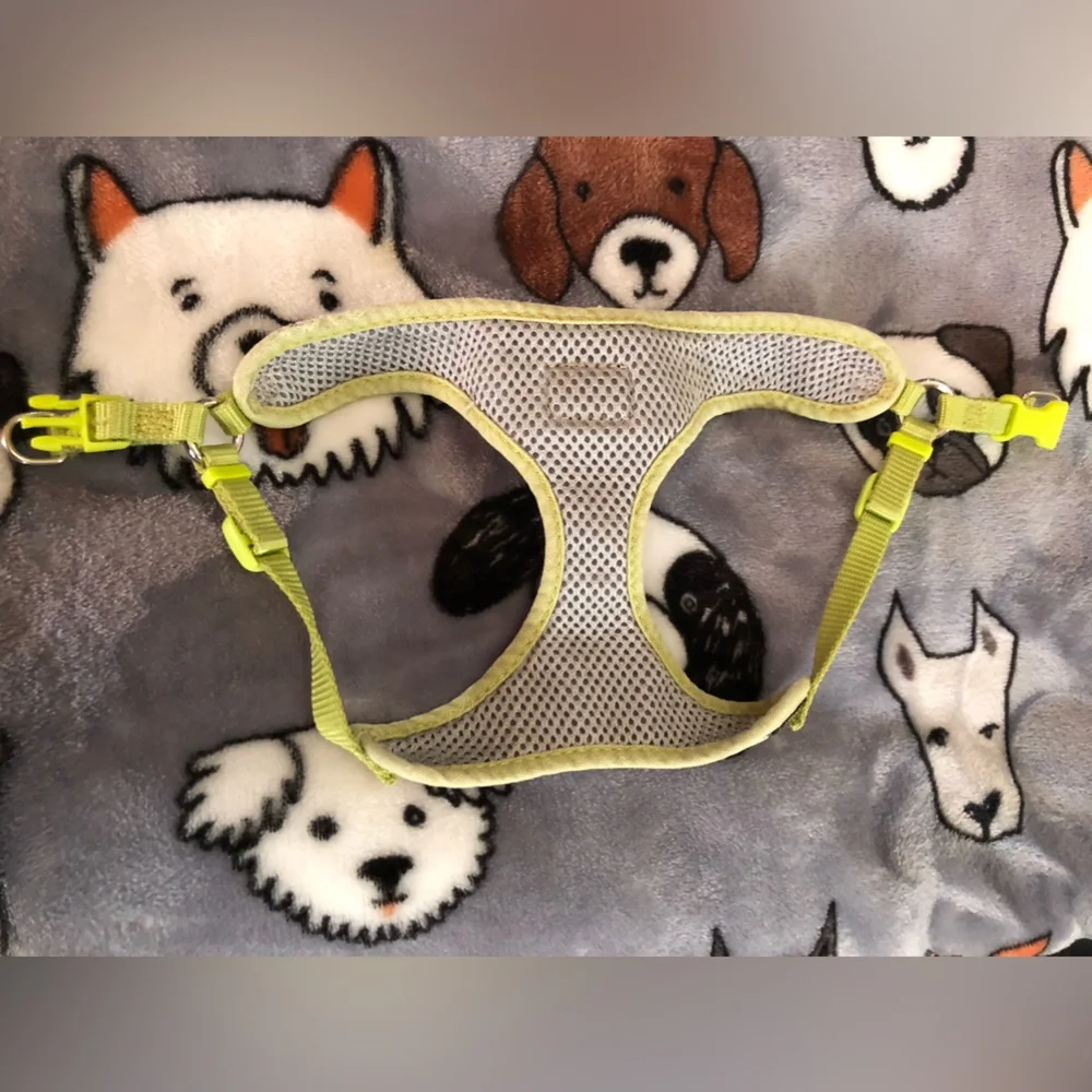 Small lap dog Harness🐶🐾🐾🐾🐾